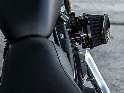Arlen Ness MINI22 エアクリーナーキット ブラック スポーツスター用 