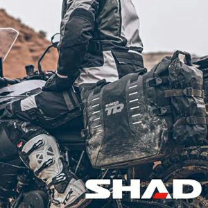 SHAD(シャッド)