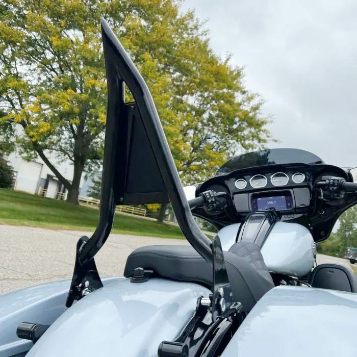 HogWorkz Havocデザイン デタッチャブルシーシーバー ブラック　2009以降ツーリング 4