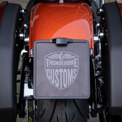 Thunderbike ライセンスプレートフレーム用 3-1リアウィンカー (マットブラック)