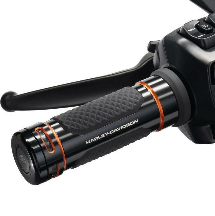 000000101155-03-l.jpg?t=