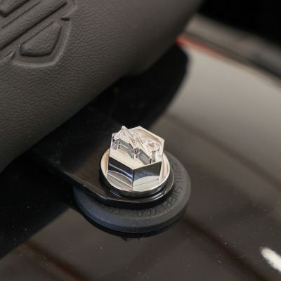 スラッシンサプライ(THRASHIN SUPPLY) TSC BOLT シートスクリュー (クローム)