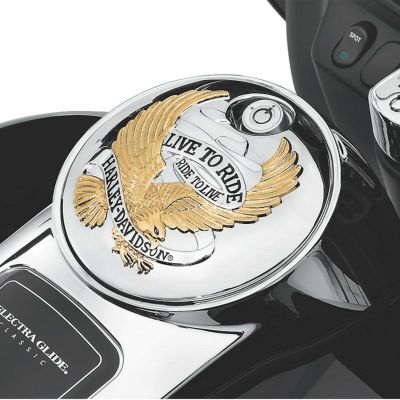 ハーレー Live To Ride・フュエルタンクコンソールドア