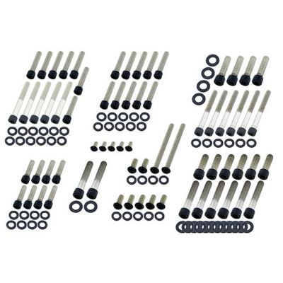 1999～2005 ダイナ、2000～2006 ソフテイル エンジンボルトセット (マットブラック) Screws4Bikes