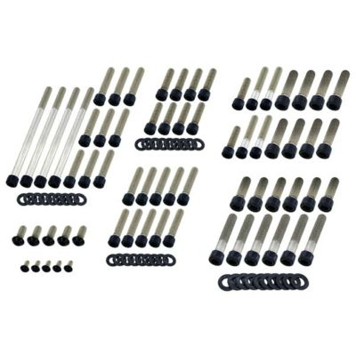 2017以前 ブレイクアウト、ロッカー/C エンジンボルトセット (グロスブラック) Screws4Bikes