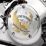 ゴールド・LIVE TO RIDEロゴ・ダービーカバー