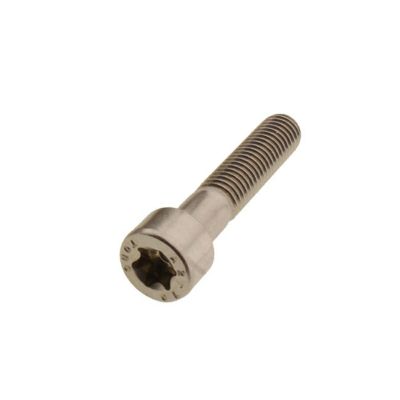 スポーツスターS、ナイトスター、パンアメリカ フロントアクスルクランプボルト (ステンレス) Screws4Bikes