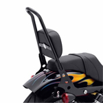 スポーツスター用ワンピースデタッチャブル シーシーバー ブラック