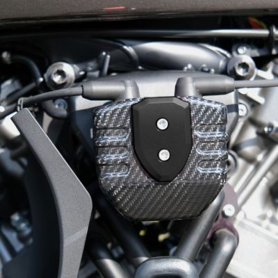スポーツスターS、パンアメリカ ドライカーボンコイルカバー (綾織・艶あり) SPEEDRA