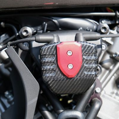 スポーツスターS、パンアメリカ ドライカーボンコイルカバー (綾織・艶あり) カラーアルミプレート SPEEDRA