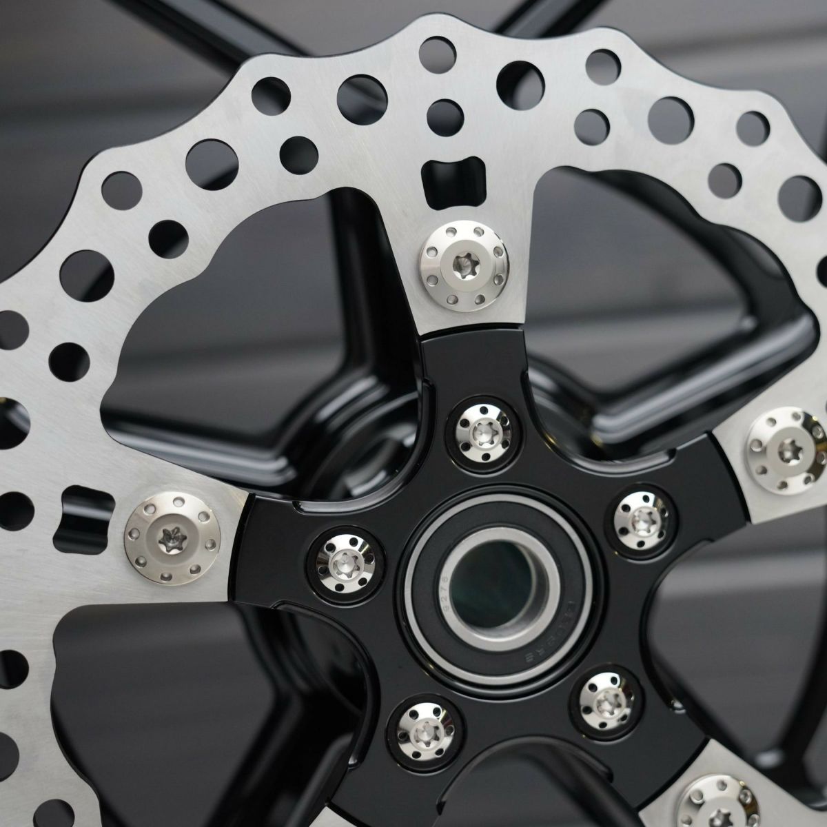 ツーリング、ソフテイル、ダイナ、スポーツスター チタニウム・フロントブレーキローターボルト (ポリッシュ) Arlen Ness3