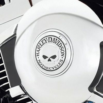 ナンバーワン スカル・コレクション エアクリーナートリム