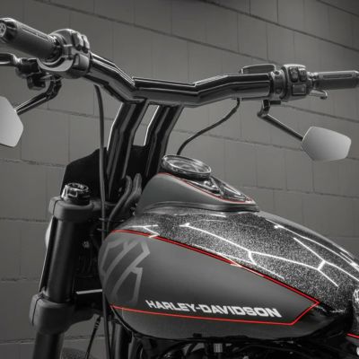 KODLIN ファストバックライザー 8インチ 【スポーツスター、ダイナ