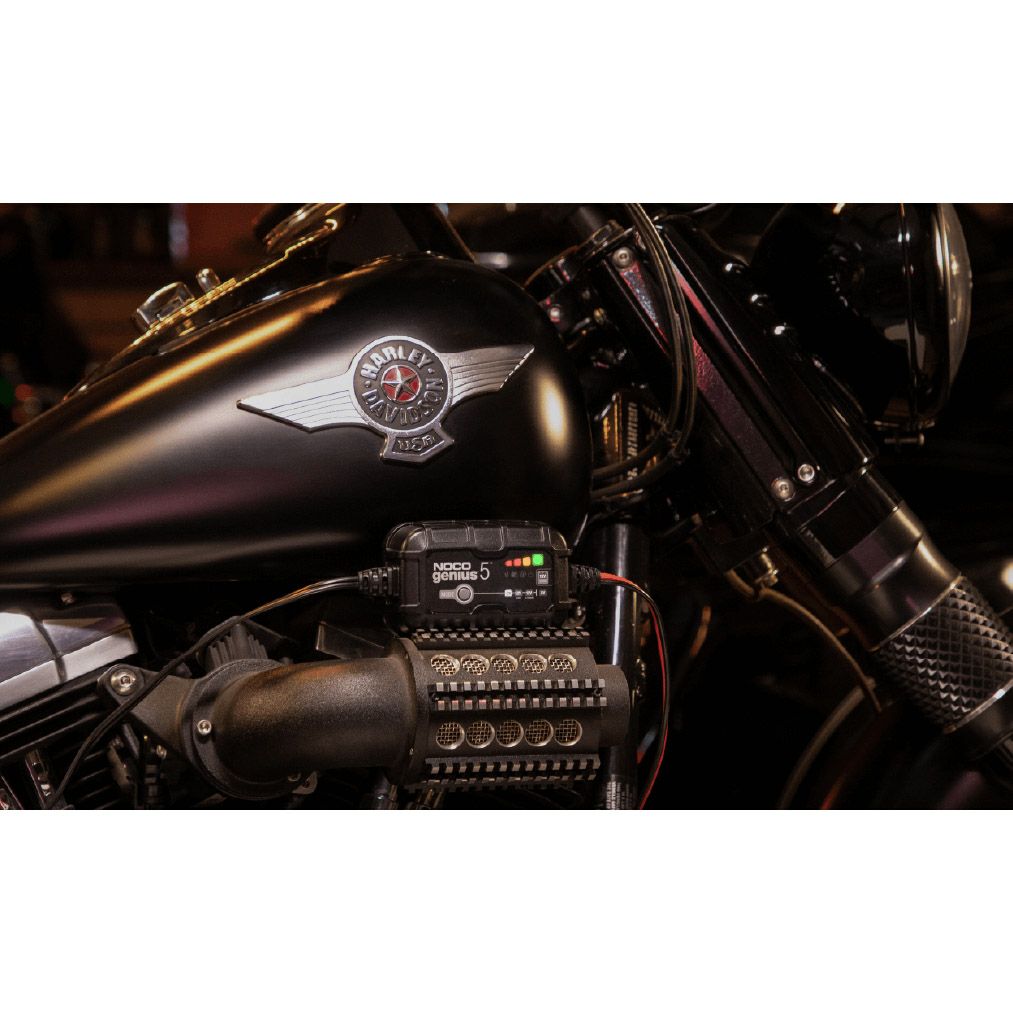  NOCO ジェニウス5 リチウム/鉛対応 5アンペア 高性能バッテリーチャージャー2