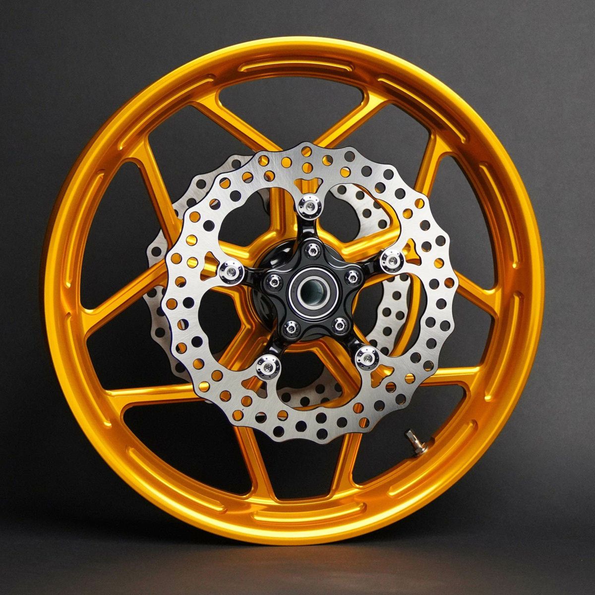 Arlen Ness アレンネス Spider ローター 11.8インチ ブラック 3