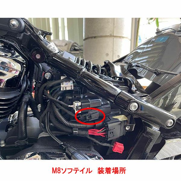 M8 ソフテイル、ツーリング デュアルアクセサリーケーブル Custom Dynamics（カスタムダイナミクス） 2