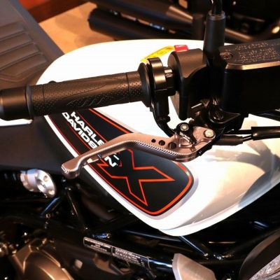 ハーレー X350、X500 ショート・アジャスタブルレバーセット (チタン/ブラック) スピードラ