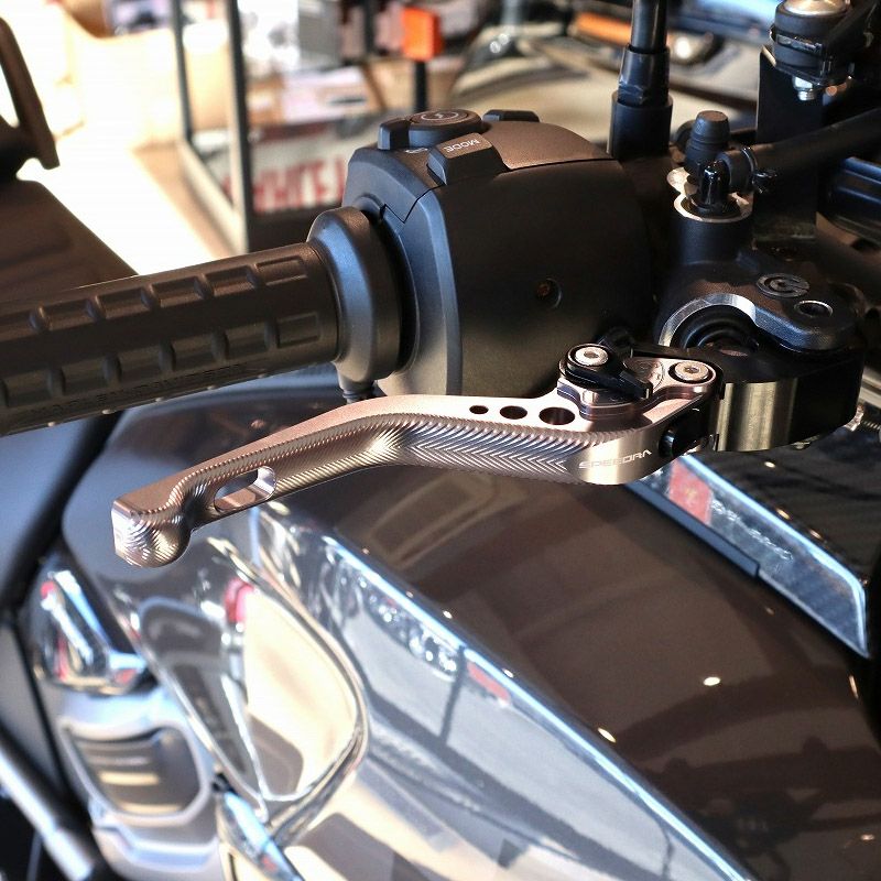 ハーレー純正□スポーツスターS(RH1250S)用 ワイルドワン リア