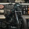 M8 ローライダーS/ST、ファットボブ、エルディアブロ DLCコーティング フロントフォークチューブ4