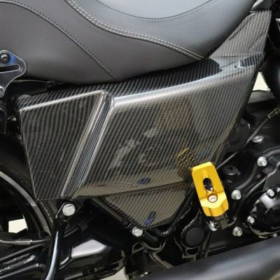 2024以降 ツーリング ドライカーボン・サイドカバーセット (綾織り/艶有り) スピードラ