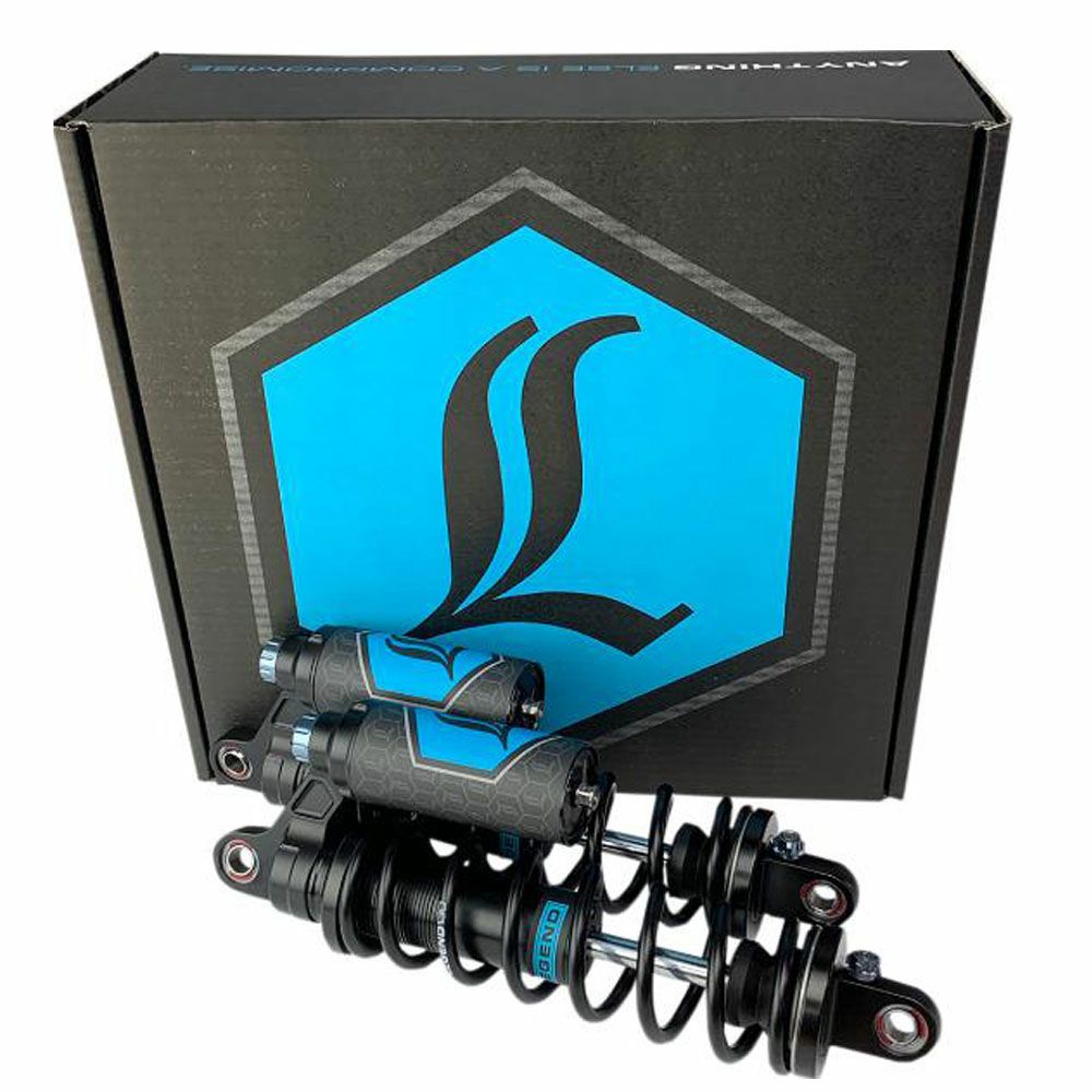 LEGEND REVO-ARC ピギーバック リアサスペンション ヘビーデューティー 14インチ ダイナ 