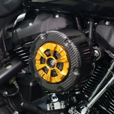 ステルスエアクリーナー用 ドライカーボン・カバー (綾織り/艶有り/ゴールド) スピードラ