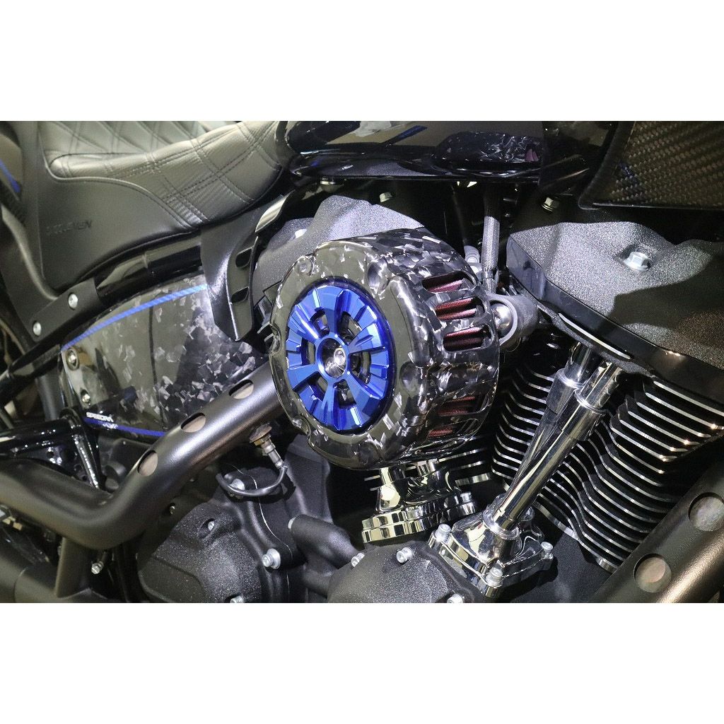 ステルスエアクリーナー用 ドライカーボン・カバー (フォージド/艶有り/ブルー)3