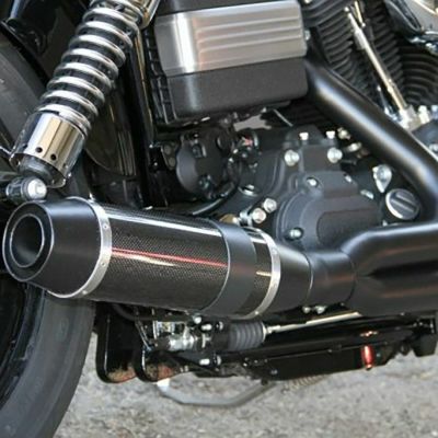 2000-2013 Softail, Bob Cat