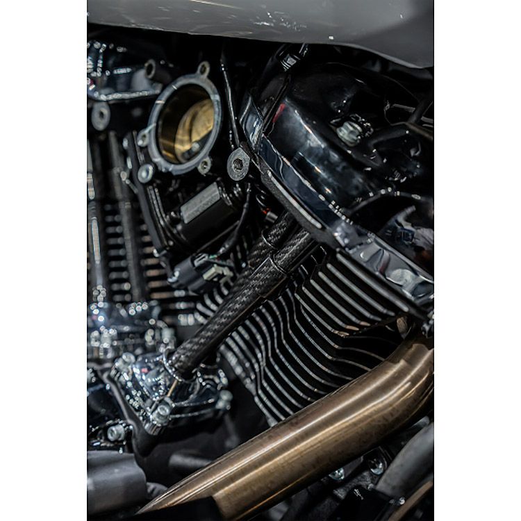 M8 ツーリング、ソフテイル、トライク カーボンプッシュロッドカバー2