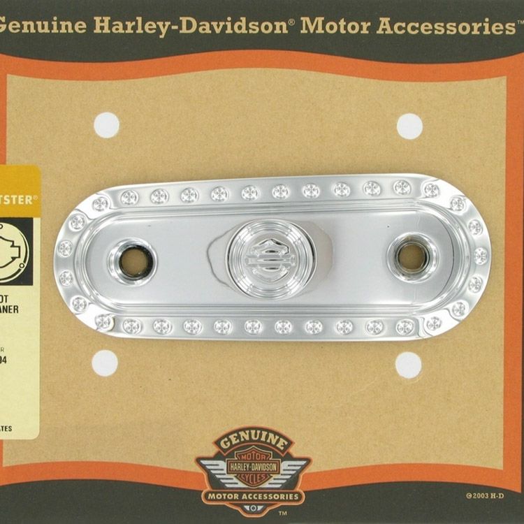 2004～2020 スポーツスター バックショット エアクリーナーカバー インサート (クローム)