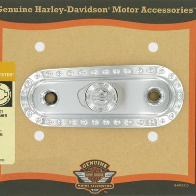 2004以降 スポーツスター バックショット エアクリーナーカバー インサート (クローム)