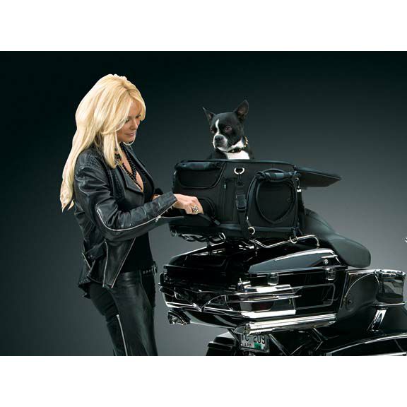 クリアキン　ペットパレスバッグ　シルバー-02