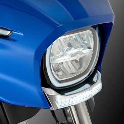 トリックスター / Ninja ZX-4R SE /ZX-4RR(24-25) 政府認証フル