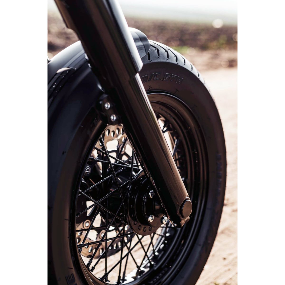  M8 ストリートボブ、ファットボーイ、スタンダード フロント ホイールスペーサー4