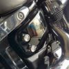 寺田モータース M8ソフテイル サイドカバースクリュー シルバー