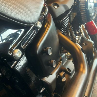 寺田モータース M8ソフテイル サイドカバースクリュー マットブラック