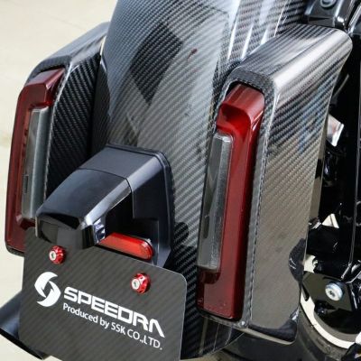 2024以降 ツーリング ドライカーボン・テールライトカバー(綾織り/艶有り) スピードラ