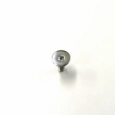 インスペクションカバー用　クロームスクリュー　2個セット　2004～2021 スポーツスター
