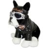 Harley Dogs - Boston Terrier - Sprocket Special Edition-01