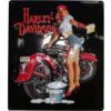 Harley Babe Wash Embossed ブリキ看板-01