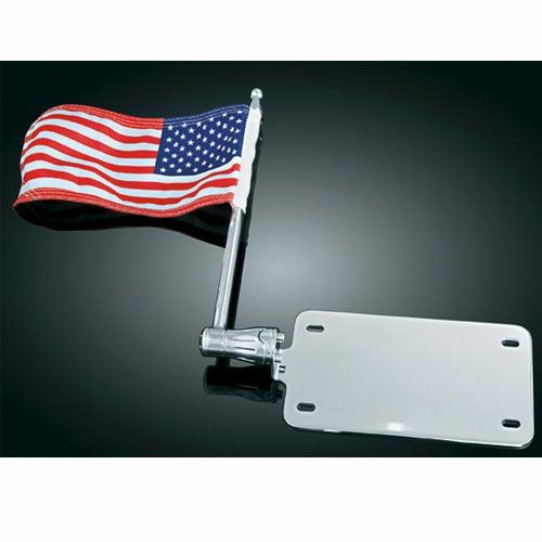 クリアキン ライセンスプレートマウントフラグ-01