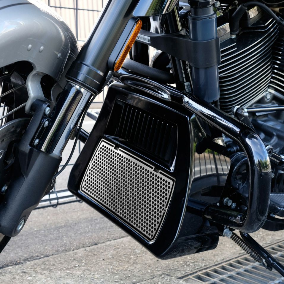 ラジエターガードカバー (ステンレス/シルバー)1