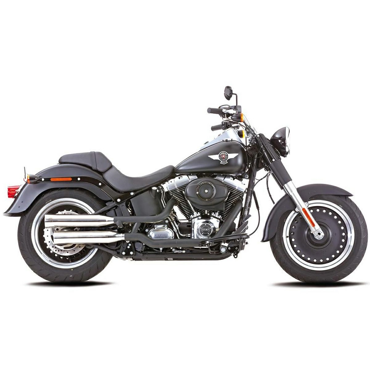 ダブルグルーブ スリップオンマフラー (ポリッシュ)1