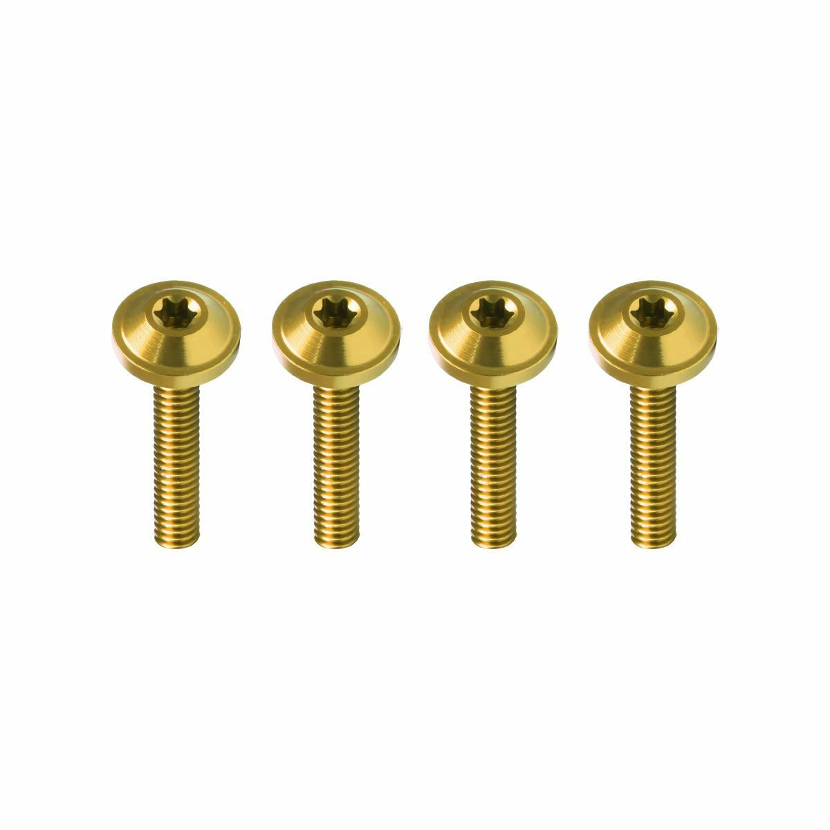 2015～2023 ロードグライド ウインドシールドボルト ゴールド HogWorkz（ホグワークズ） 2