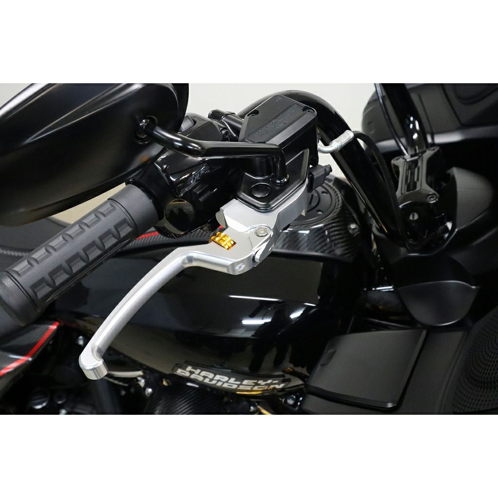 アジャスタブル・レバーセット (シルバー/ゴールド)2