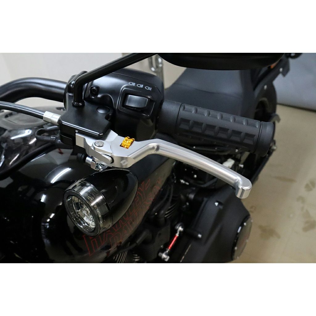 アジャスタブル・レバーセット (シルバー/ゴールド)3