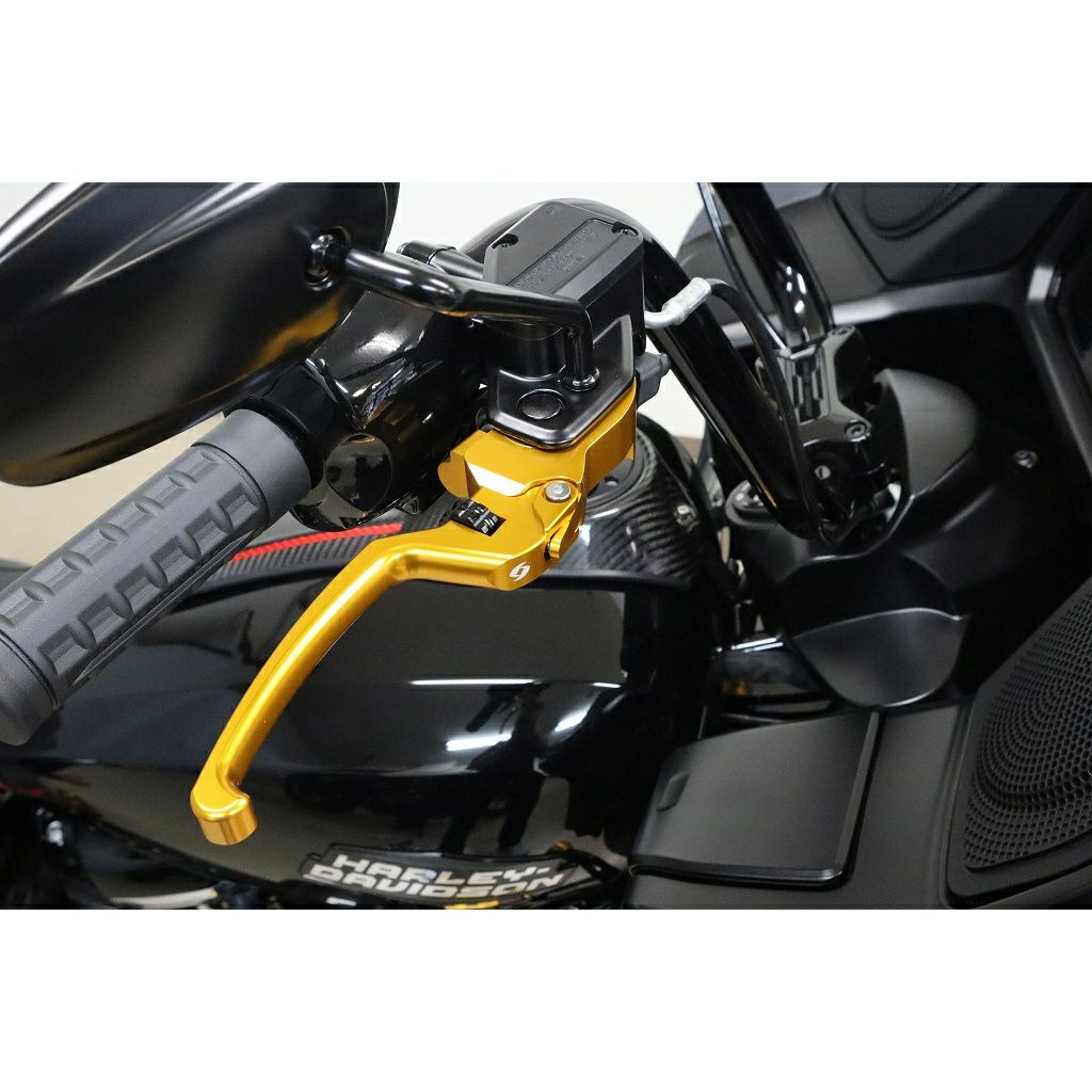 アジャスタブル・レバーセット (ゴールド/ブラック)2