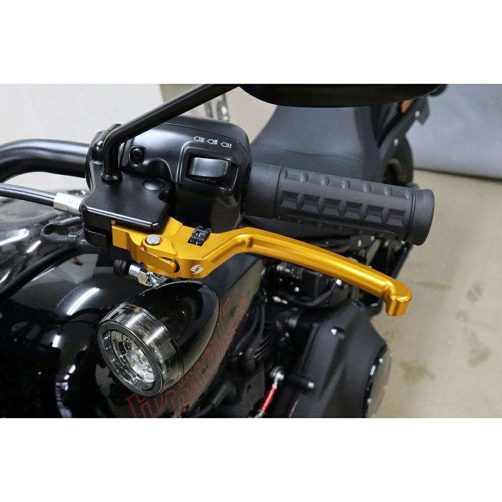 アジャスタブル・レバーセット (ゴールド/ブラック)3