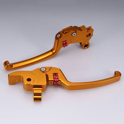 アジャスタブル・レバーセット (ゴールド/レッド)