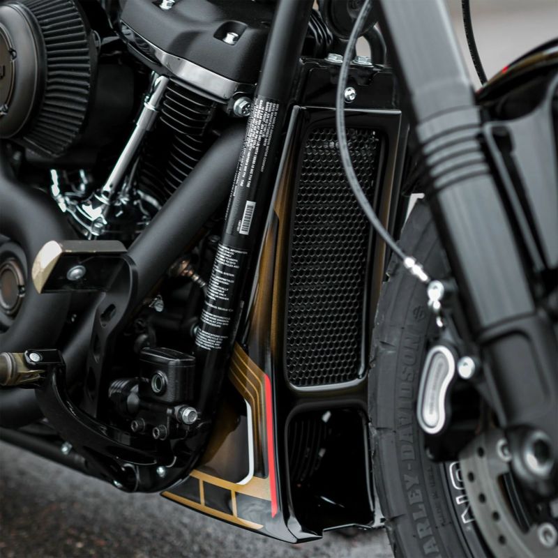 Aggressor ラジエターカバー